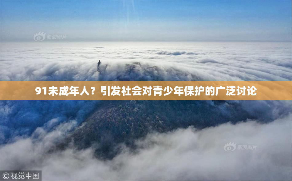 91未成年人？引发社会对青少年保护的广泛讨论
