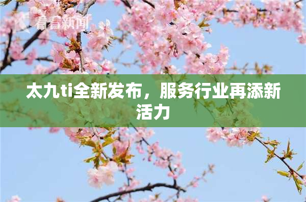 太九ti全新发布，服务行业再添新活力