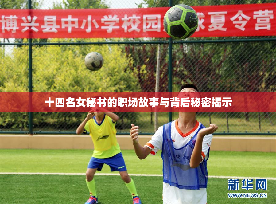 十四名女秘书的职场故事与背后秘密揭示