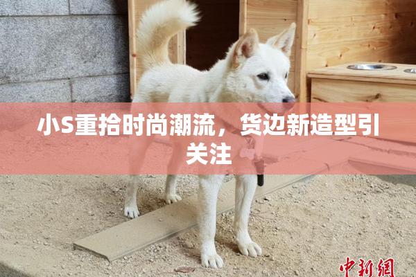 小S重拾时尚潮流，货边新造型引关注