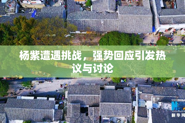 杨紫遭遇挑战，强势回应引发热议与讨论