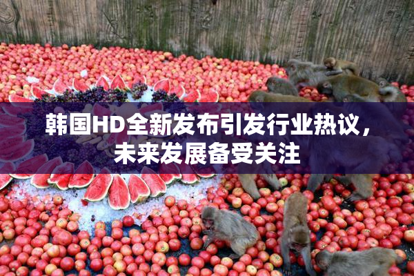 韩国HD全新发布引发行业热议，未来发展备受关注