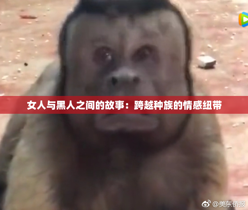 女人与黑人之间的故事：跨越种族的情感纽带