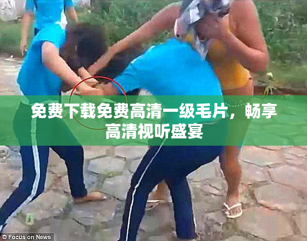 免费下载免费高清一级毛片，畅享高清视听盛宴