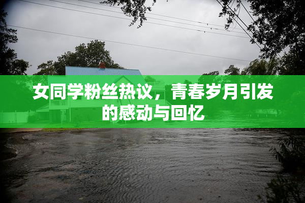 女同学粉丝热议，青春岁月引发的感动与回忆