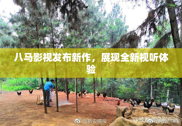 八马影视发布新作，展现全新视听体验