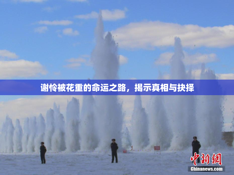谢怜被花重的命运之路，揭示真相与抉择