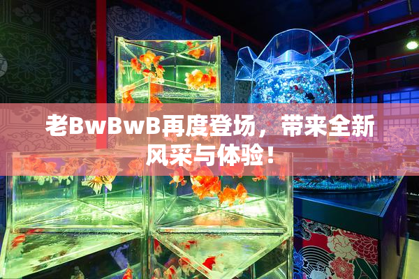 老BwBwB再度登场，带来全新风采与体验！