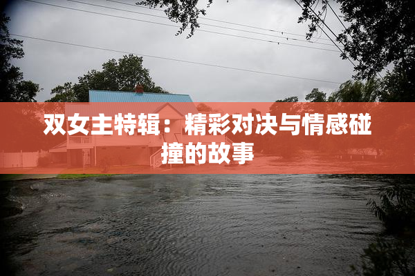 双女主特辑：精彩对决与情感碰撞的故事