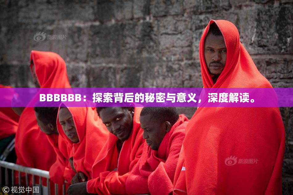 BBBBBB：探索背后的秘密与意义，深度解读。