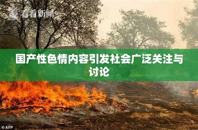 国产性色情内容引发社会广泛关注与讨论