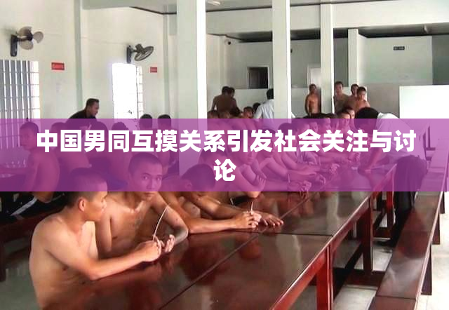 中国男同互摸关系引发社会关注与讨论