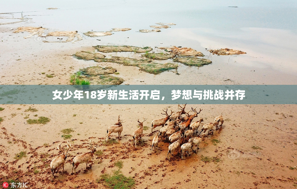 女少年18岁新生活开启，梦想与挑战并存