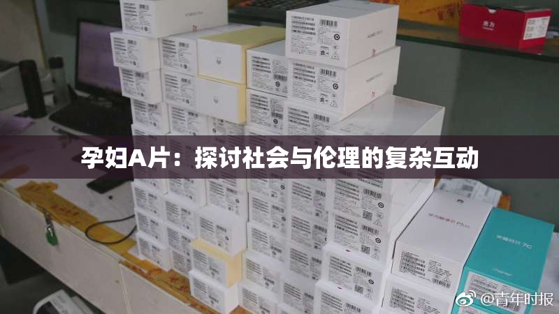 孕妇A片：探讨社会与伦理的复杂互动