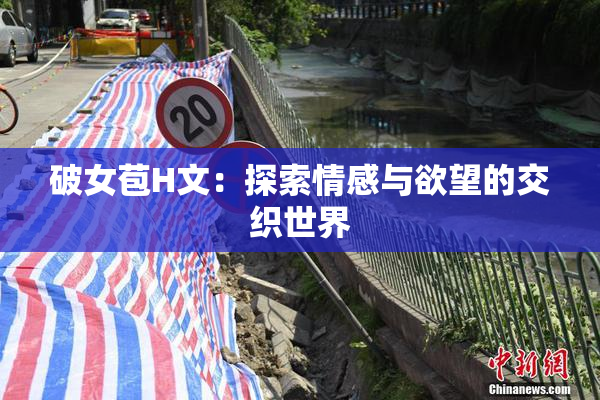 破女苞H文：探索情感与欲望的交织世界