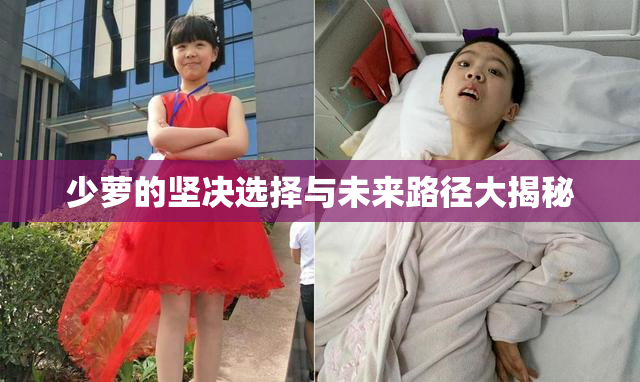 少萝的坚决选择与未来路径大揭秘