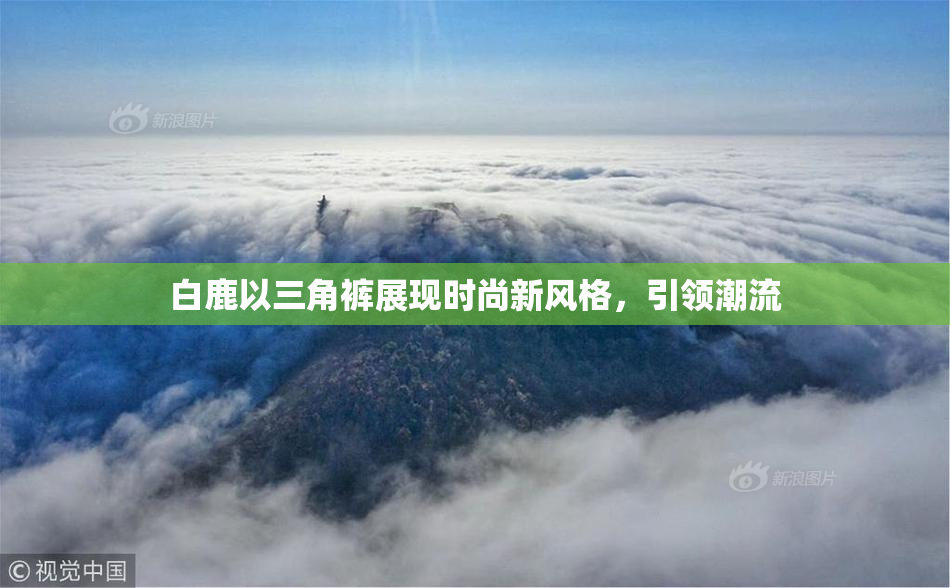 白鹿以三角裤展现时尚新风格，引领潮流