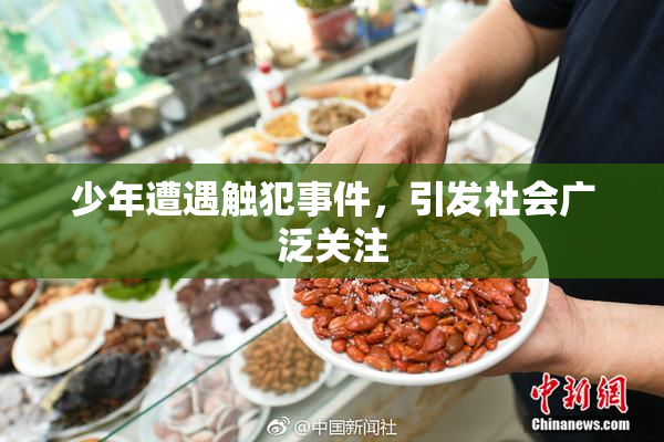 少年遭遇触犯事件，引发社会广泛关注