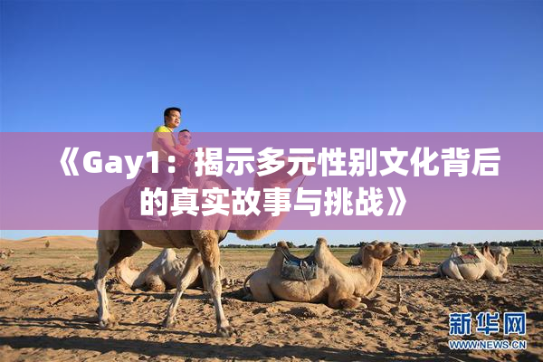 《Gay1：揭示多元性别文化背后的真实故事与挑战》