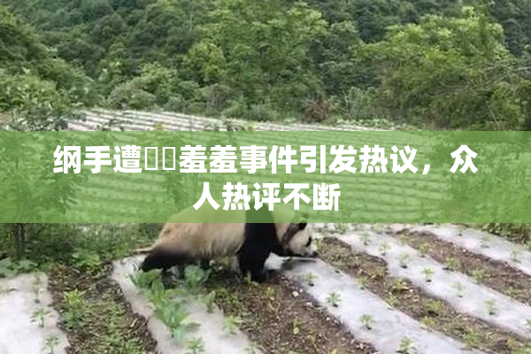 纲手遭❌‌羞羞事件引发热议，众人热评不断