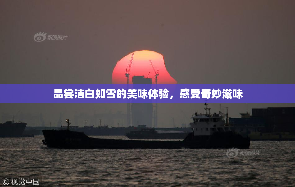 品尝洁白如雪的美味体验，感受奇妙滋味