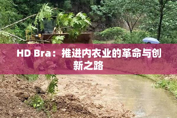 HD Bra：推进内衣业的革命与创新之路