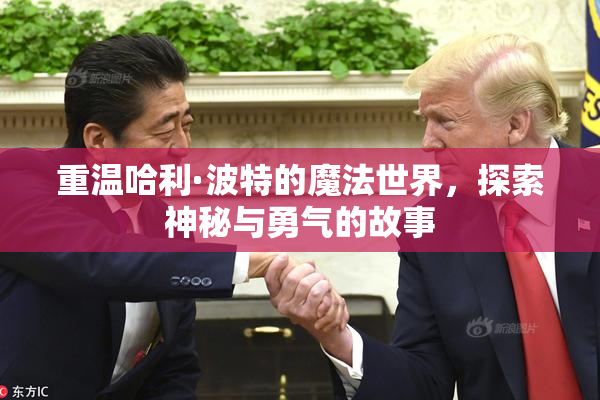 重温哈利·波特的魔法世界，探索神秘与勇气的故事