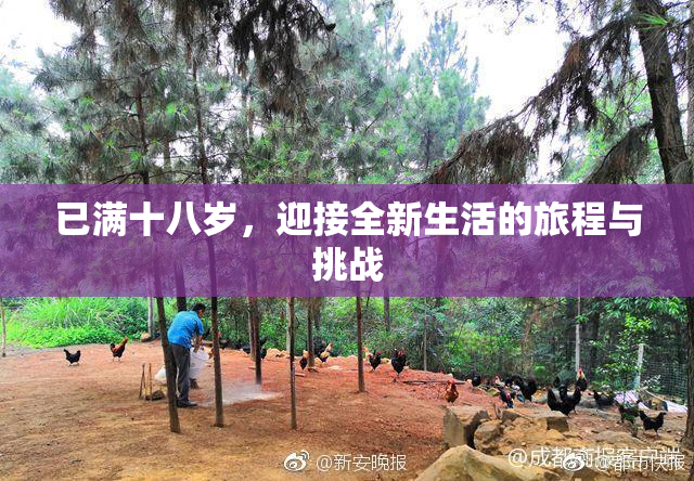 已满十八岁，迎接全新生活的旅程与挑战
