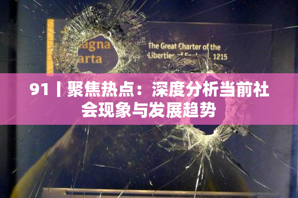 91丨聚焦热点：深度分析当前社会现象与发展趋势