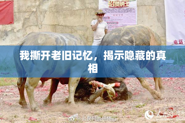 我撕开老旧记忆，揭示隐藏的真相