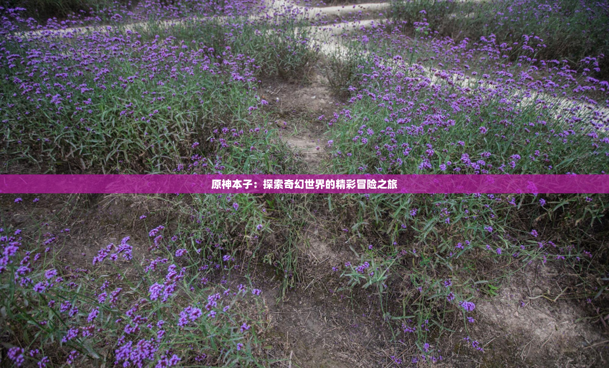 原神本子：探索奇幻世界的精彩冒险之旅