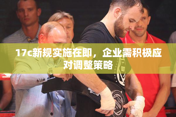 17c新规实施在即，企业需积极应对调整策略