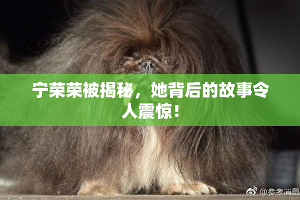 宁荣荣被揭秘，她背后的故事令人震惊！