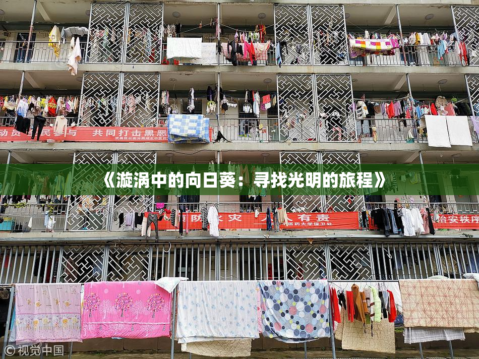 《漩涡中的向日葵：寻找光明的旅程》