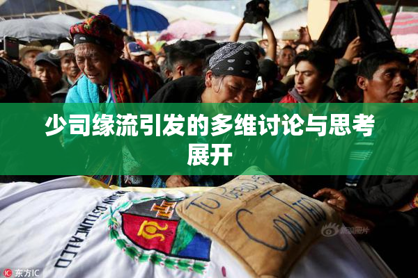 少司缘流引发的多维讨论与思考展开