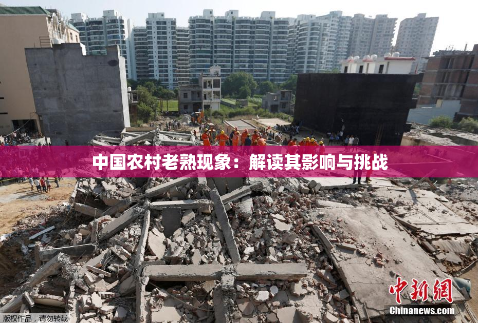 中国农村老熟现象：解读其影响与挑战