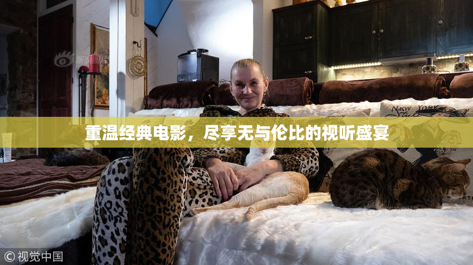 重温经典电影，尽享无与伦比的视听盛宴