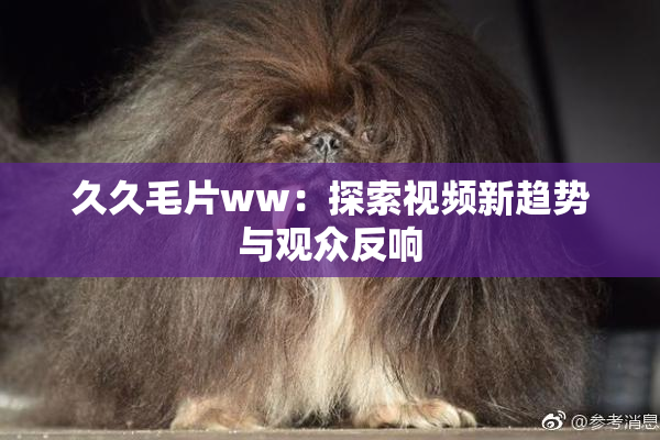 久久毛片ww：探索视频新趋势与观众反响