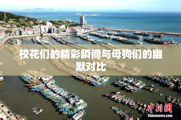 校花们的精彩瞬间与母狗们的幽默对比
