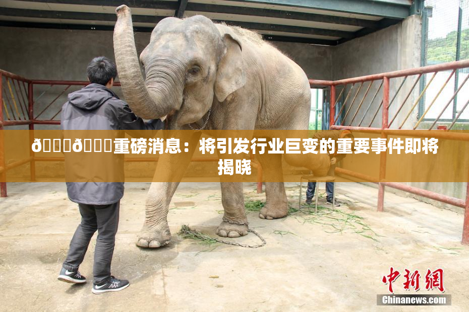 🔞🔞重磅消息：将引发行业巨变的重要事件即将揭晓