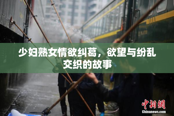 少妇熟女情欲纠葛，欲望与纷乱交织的故事