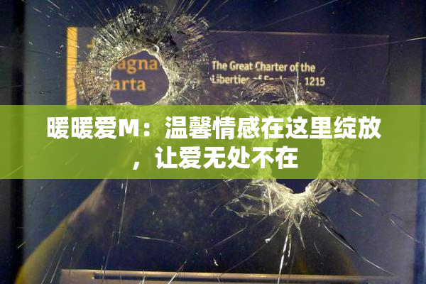暖暖爱M：温馨情感在这里绽放，让爱无处不在