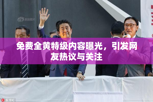免费全黄特级内容曝光，引发网友热议与关注