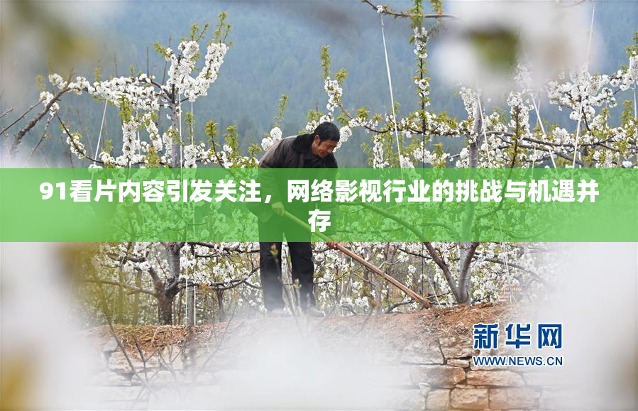 91看片内容引发关注，网络影视行业的挑战与机遇并存