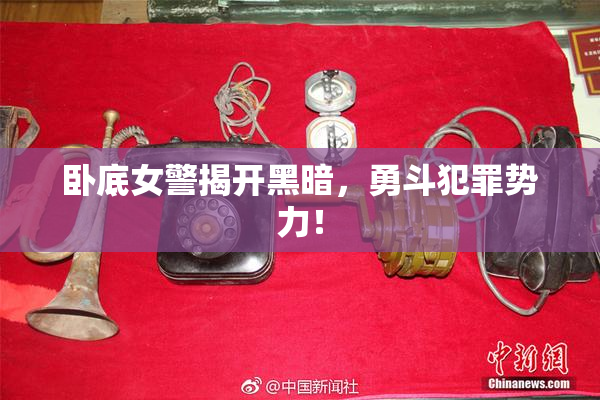卧底女警揭开黑暗，勇斗犯罪势力！
