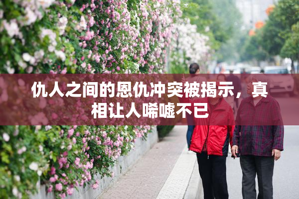 仇人之间的恩仇冲突被揭示，真相让人唏嘘不已