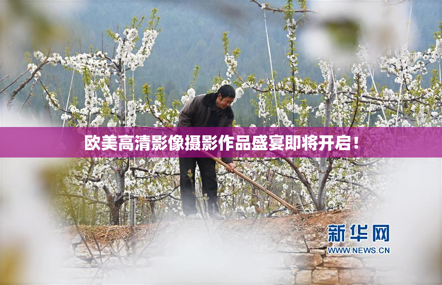 欧美高清影像摄影作品盛宴即将开启！