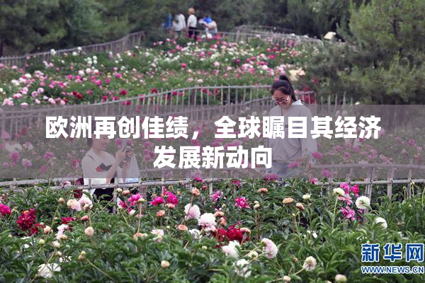 欧洲再创佳绩，全球瞩目其经济发展新动向