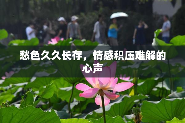 愁色久久长存，情感积压难解的心声