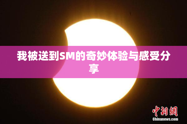 我被送到SM的奇妙体验与感受分享